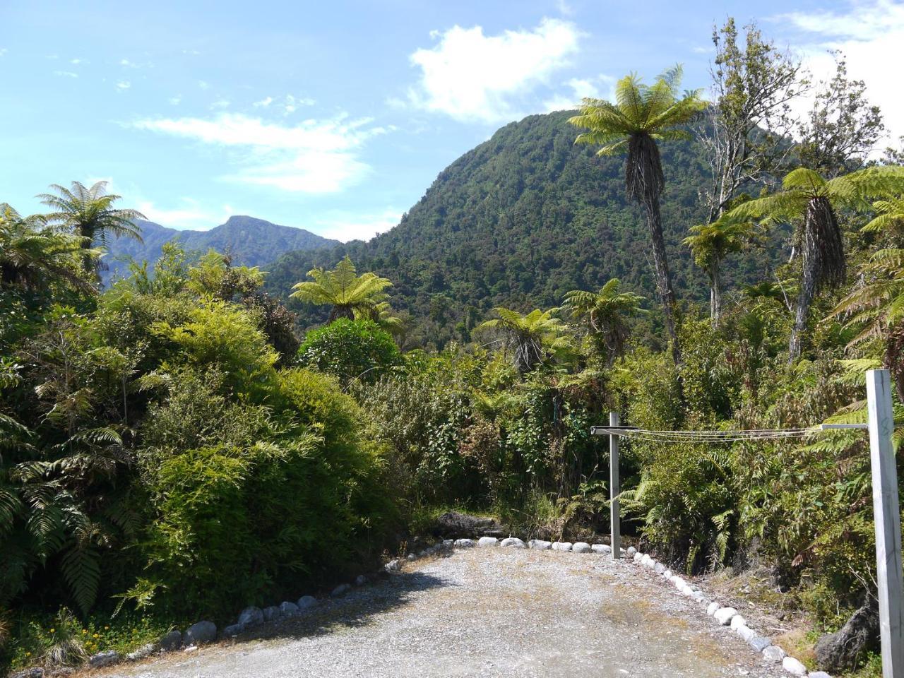 Franz Josef Treetops ภายนอก รูปภาพ